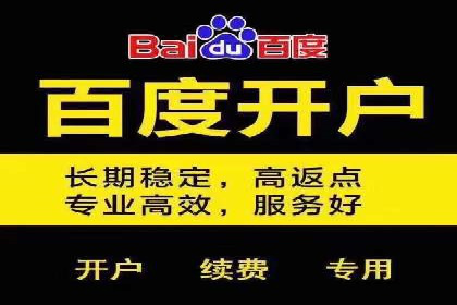 百度推广代运营公司成功案例：精准投放广告的秘诀